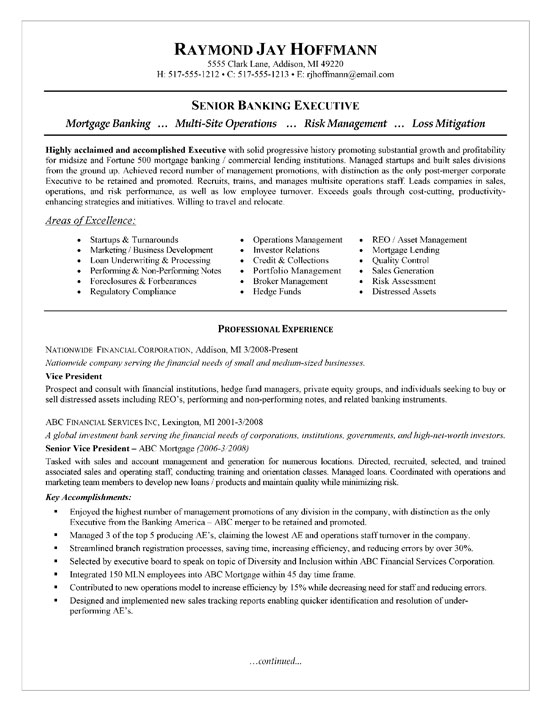 Sample resume sales executive bank