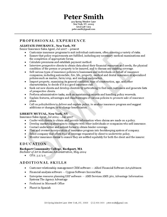 Insurance Resume Examples Insurance Agent Resume Example
