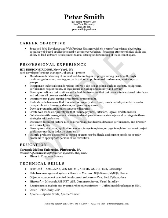 Professional resume outlines web site