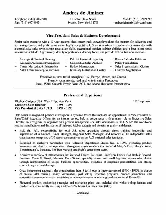 Resume for business manager example