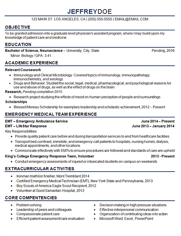 Example government resume